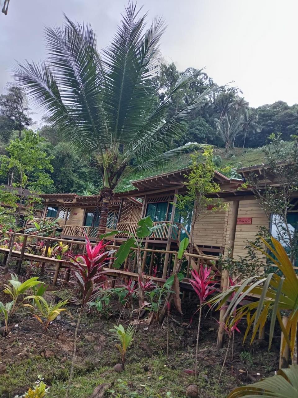 Pacific Nuqui Lodge Nuquí Exterior foto